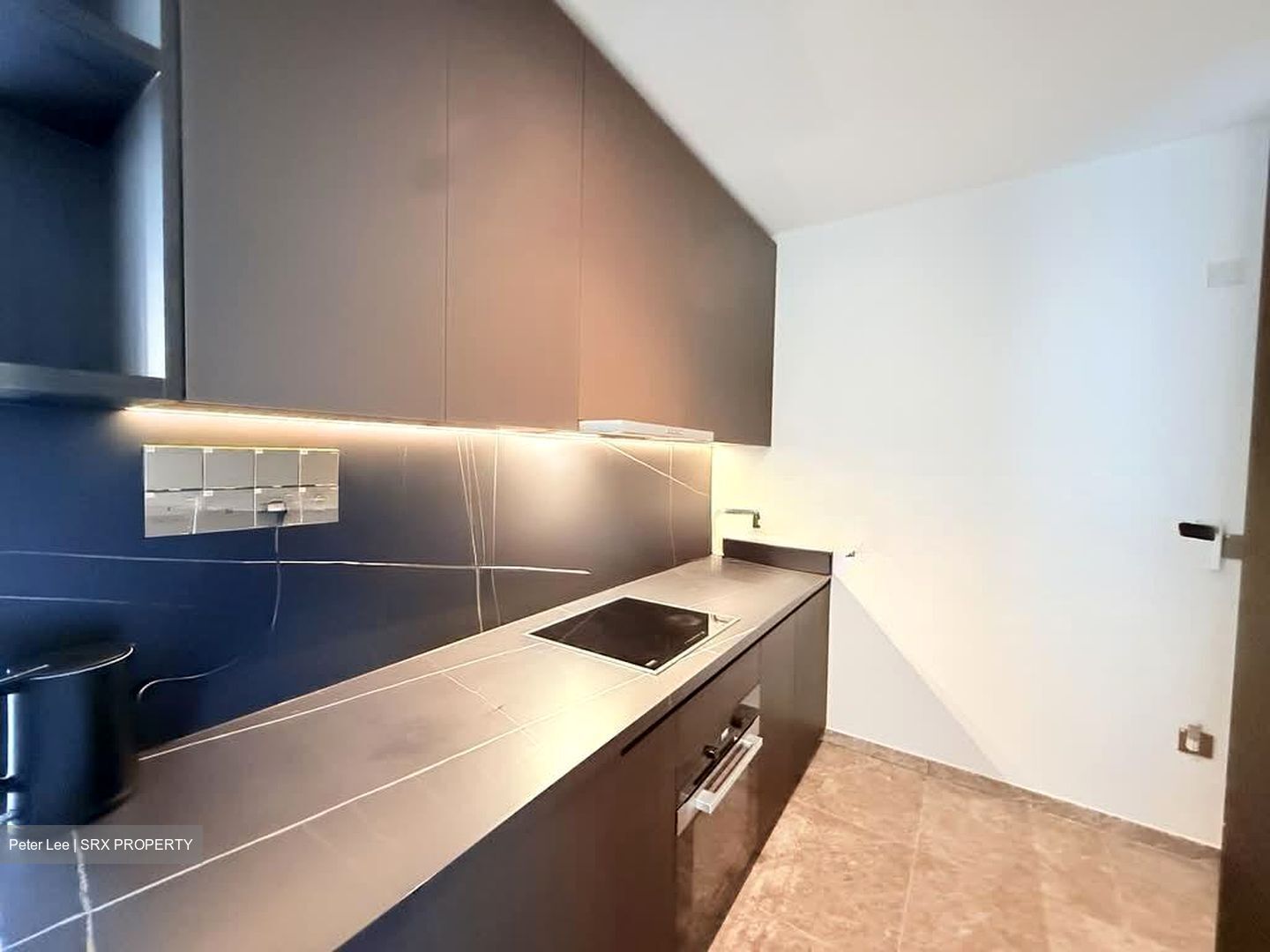 Hyll On Holland (D10), Condominium #578459821